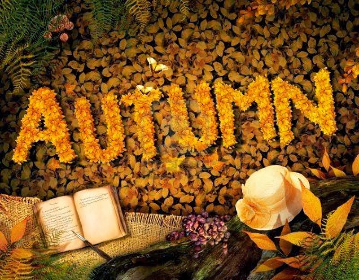 14982538-autumn-season-concept-design-fall-background-with-text-in-beautiful-yellow-forest-vintage-design-wit.jpg